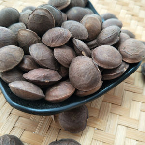 หยินเจียกั๋ว ขายส่งซาชาอินชีออร์แกนิกแห้ง (Plukenetia Volubilis) สำหรับทำน้ำมัน - Product Image 6