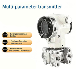 Trasmettitore di pressione di capacità digitale KZY-<span class=keywords><strong>3051</strong></span>, protocollo 4-20mA HART, a prova di esplosione, alta precisione, smorzamento regolabile - Product Image 6