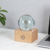 Lampe décorative premium en forme de boule de cristal avec fleur de pissenlit préservée, veilleuse à commande tactile, base en bois, alimentation USB, idéale pour un cadeau