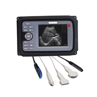 Échographe vétérinaire portable sans fil V8 avec sonde linéaire rectale et écran LCD TFT 5,5 pouces pour bovins et chevaux