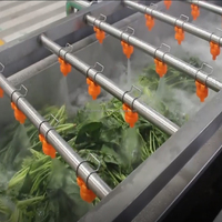 Fabrieks prijs voor 304 roestvrijstalen apparatuur voor het reinigen van wortelgroenten, fruit- en groenten snijmachine met bubbelreiniging