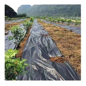 Usine bas prix tissé contrôle des mauvaises herbes tissu plastique paillage papier agriculture ou <span class=keywords><strong>jardin</strong></span> - Product Image 1