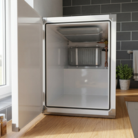 Boîte isotherme personnalisée de la marque Esfrigo -30 -20 degrés, réfrigération passive, plaques eutectiques haute résistance, congélateur 12V-24V-220V