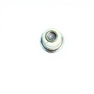 06K905601M İridyum Benzinli Buji Yeni OEM Kalitesi Audi için EA888 2.0T Motor için - Product Image 5