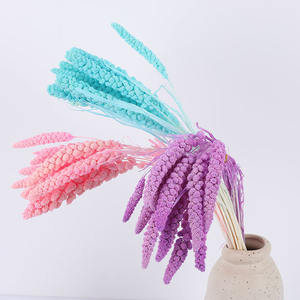 Épis <span class=keywords><strong>de</strong></span> millet séché naturel, tiges <span class=keywords><strong>de</strong></span> millet foxtail préservées pour la décoration intérieure, les loisirs créatifs, les accessoires photo et les arrangements floraux - Product Image 4