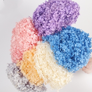 PHA01 Anna ortensia 18 colori solidi naturali fatti a mano conservati fiori di ortensie conservazione a lungo termine per san valentino - Product Image 1