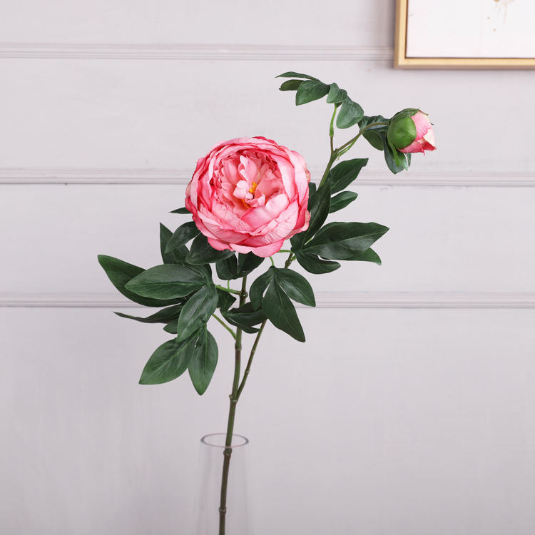 สีชมพูเข้ม