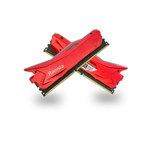 Venta caliente de fábrica Ramsta Zhanlang <span class=keywords><strong>DDR4</strong></span> 8GB 16GB 32GB <span class=keywords><strong>2666MHz</strong></span> 3200MHz 3600MHz 4000MHz <span class=keywords><strong>RAM</strong></span> para computadora portátil PC Memoria - Product Image 5