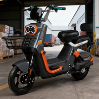 Vélo Électrique Urbain Léger Personnalisé à Faible MOQ, 48V, 2 Places, Moteur Brushless 500W, Cadre en Acier, Batterie au Plomb-Acide