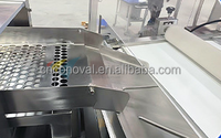 Machine de remplissage et de bouchage automatique de tubes pour comprimés effervescents, pour tubes PP de type bouteille droite