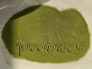 خلاصة الأعشاب البحرية عالية الجودة ، القابلة للذوبان في الماء ، سماد حمض الألجنيك العضوي - Product Image 3