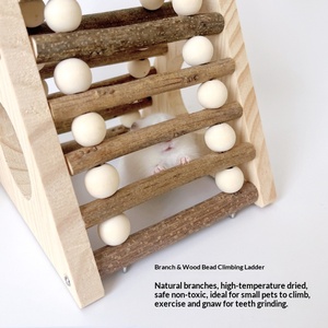 Giocattolo per Criceti Grandi, <span class=keywords><strong>Orso</strong></span> Dorato, con Casa in Legno, Scala per Arrampicarsi, Tunnel per Masticare e Allenare - Product Image 3