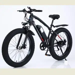 2021 Promotion Electric bikes 350w 750w 1000W Electric Bike with drop shipping service