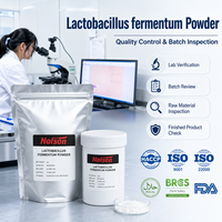 Poudre de probiotiques de qualité alimentaire Lactobacillus Bulgaricus 10 milliards UFC/g, service OEM, certifié GMP, approvisionnement en vrac