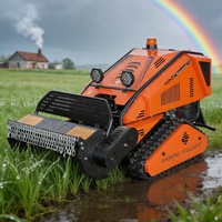 Produsen Mesin Pemotong Rumput Mini Pintar Segitiga Bersertifikasi CE EPA, Robot Zero Turn RC, Fitur untuk Penggunaan Industri DIY, Dikendalikan Jarak Jauh