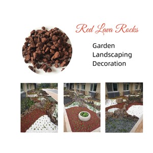 Aggregato di Roccia Lavica ROSSA Premium <span class=keywords><strong>per</strong></span> <span class=keywords><strong>Terriccio</strong></span> Bonsai <span class=keywords><strong>e</strong></span> <span class=keywords><strong>Piante</strong></span> <span class=keywords><strong>Grasse</strong></span> <span class=keywords><strong>e</strong></span> Cactus - Product Image 3