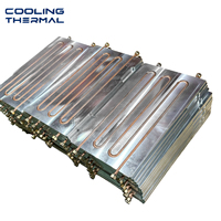 Placa Fría de Aluminio Soldada por Fricción Personalizada con Microcanal Interno para Módulo de Refrigeración de CPU, GPU y Servidor