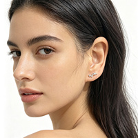 FUAMAY Boucles d'oreilles clous hypoallergéniques en argent 925 avec zircon cubique et fermoirs à vis, vente en gros, cadeau