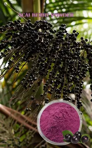 Fornecimento de frutas orgânicas liofilizadas em pó de Acai Berry, pó solúvel em água, frutas em pó de Acai Berry Brasil