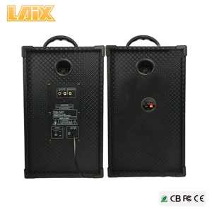 Laix SS-A5 Haut-Parleur 12 pouces Basse Personnalisé avec 80W * 2 Amplificateur Large <span class=keywords><strong>DJ</strong></span> Control Home Cinéma Audio Stéréo Haut-parleurs de Scène - Product Image 6