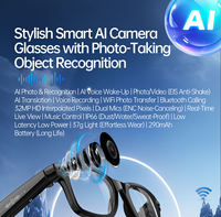 Lunettes Intelligentes W620 Pro AI avec Caméra 1300W Pixels, Enregistrement Vidéo, Assistant de Traduction, Commande Vocale, Lunettes de Soleil Personnalisables OEM