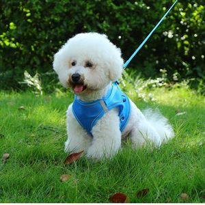 Harnais de style gilet pour petits chiens, sangle de poitrine respirante avec laisse pour chiots Bichon Frise Teddy Pomeranian - Product Image 5