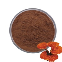 Extrait de champignon Reishi (Ganoderma Lucidum) biologique en poudre, extraction par solvant, triterpène, bêta-glucane, conditionnement en fût