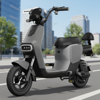 Vélo électrique à moteur super puissant, haute vitesse, en acier au carbone numérique électronique, avec deux sièges, 48V 350W