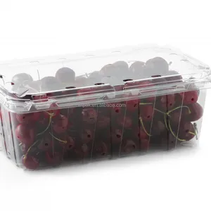 500 그램 투명 블루 베리 딸기 과일 조가비 환풍 caixas plastico mirtilos