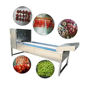 Máquina automática para deshuesar cerezas Máquina de decoración Longan Máquina para deshuesar albaricoque