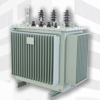 Transformateur de distribution de puissance triphasé à double enroulement série S13, niveau 10 kV, pour les entreprises et les zones à forte teneur en poussière