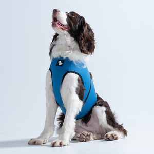 سترات وصدريات تهدئة للكلاب من <span class=keywords><strong>Dog</strong></span> Thunder Jackets، معطف حيوانات أليفة OEM، قميص تهدئة الكلاب الشامل، سترة مضادة لقلق الكلاب للألعاب النارية، بالجملة - Product Image 5