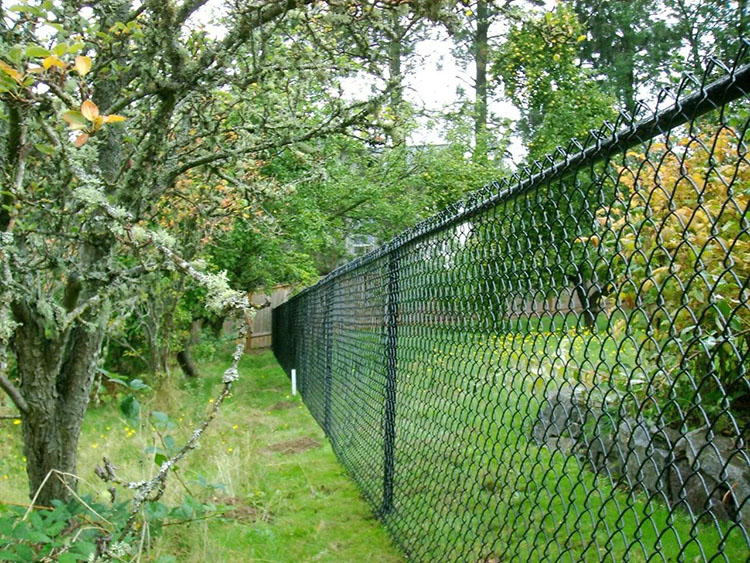 Cyclone Barbed Wire 40x40mm Chain Link Mesh Fencing 2.8mm Extension Arms Pvc Coated