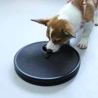 Offre Spéciale 3 en 1 grattoir d'affûtage des ongles distributeur interactif de nourriture pour chien plaque jouet pour animaux de compagnie