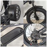Vélo électrique tout-terrain Dirt Road Ebike Drop Shipping Urban avec moteur brushless 500W 750W, pneus larges, vélo de montagne électrique