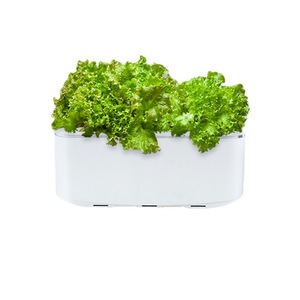 Fabricant vente en gros pot de plantation en plastique intelligent boîte hydroponique arrosage automatique balcon culture de légumes outil des gens <span class=keywords><strong>paresseux</strong></span> - Product Image 5