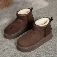 Mini bottines pour femmes, doublées, chaudes, à plateforme, bottes d'hiver