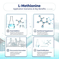 L-Méthionine à faible teneur en métaux lourds CAS 63-68-3 Pureté 98% Matière première donneur de méthyle pour l'alimentation animale, les perfusions médicales et l'alimentation humaine