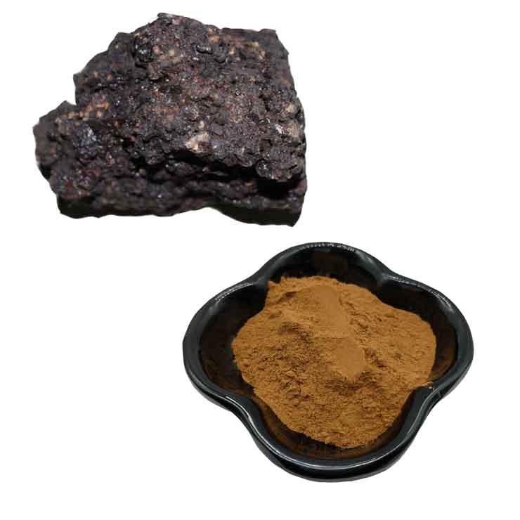 Заводская поставка шиладжит 50% Fulvic Shilajit порошок кислоты