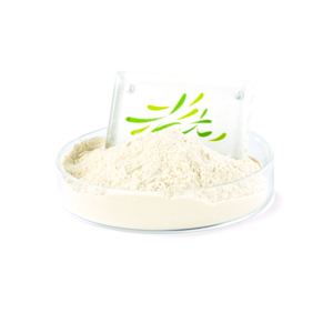 공장 직접 공급 식품 등급 후코이단 추출물 분말 순수 후코이단 분말 드럼 포장 - Product Image 1