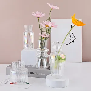 Kleine Nordic Desktop Glas Vazen Home Decor Bloem Vaas Plant Pot Decoratieve Glas Bloem Container