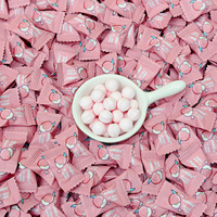 Perles pressées à la menthe, à la vitamine C et à la pêche blanche sans sucre du fabricant chinois, pour une haleine rafraîchissante et un réfrigérant de bureau