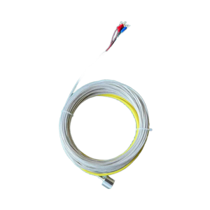 مستشعر حرارة بلاتيني من الفئة أ RTD طراز Pt1000/<span class=keywords><strong>Pt100</strong></span>/Pt200/Pt500 تصنيع حسب الطلب/تصميم حسب الطلب بدرجة حماية IP65 ودقة 0.50% ومخرج 4-20 مللي أمبير - Product Image 3