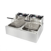 WINNERS DZL-D 12L Friteuse électrique commerciale de table compacte 2500W 220V Garantie 1 an pour hôtels et restaurants