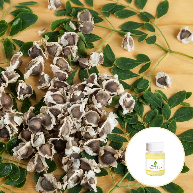 100% Pure Organic Moringa Oleifera Seed Oil CAS 93165-54-9