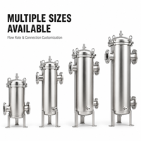 Boîtier de filtre industriel à cartouche unique en acier inoxydable 304 avec pince à ouverture rapide pour la filtration des liquides de processus