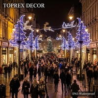 Lumières LED décoratives de rue musulmanes 2D personnalisées, conçues sur mesure, avec télécommande, en métal, indice de protection IP65, pour l'extérieur, pour la fête du Ramadan
