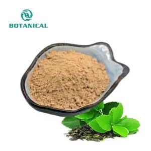 Hohe Reinheit natürlicher grüner Tee Blätter grüner Tee Extrakt Pulver 98 % Polyphenol