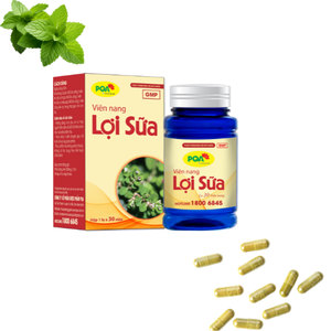 Cápsulas de Gelatina Dura a Base de Hierbas para Apoyo a la Lactancia, Suplemento para la Salud, 30 Unidades, Apoyo Nutricional para la Anemia y la Circulación, Precio de Fábrica - Product Image 1