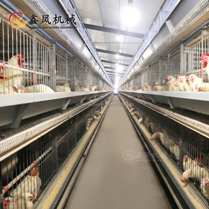 Tayland tavuk kümesi için <span class=keywords><strong>h</strong></span>-tipi tam otomatik Broiler et tavuk yetiştirme pil damızlık kafes - Product Image 2